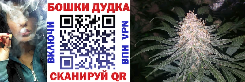 МАРИХУАНА сатива  Стерлитамак 